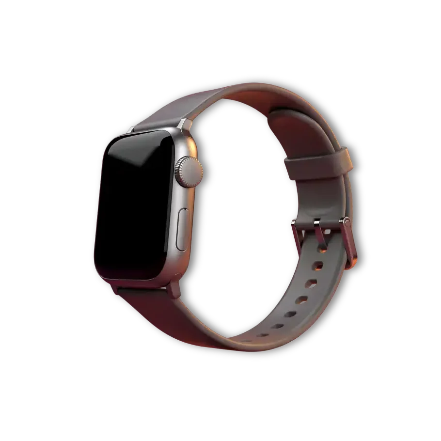 Apple Watch Repair